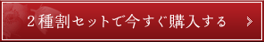 ２種割セットで今すぐ購入する