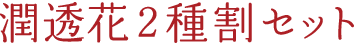 潤透花2種割セット