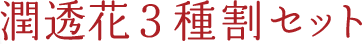 潤透花3種割セット