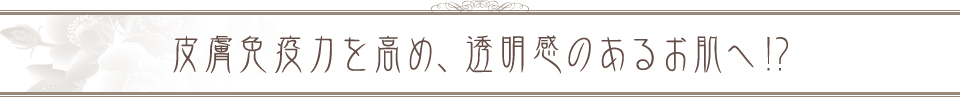 皮膚免疫力を高め、透明感のあるお肌へ！？