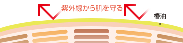 紫外線から肌を守る 椿油
