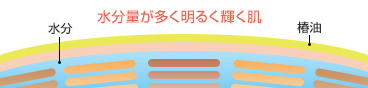 水分 水分量が多く明るく輝く肌 椿油