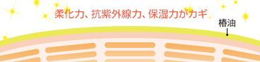 柔化力・高紫外線が保湿のカギ